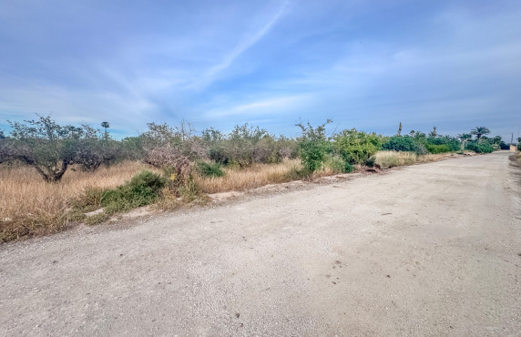 For Sale - Plot - Elche - Matola