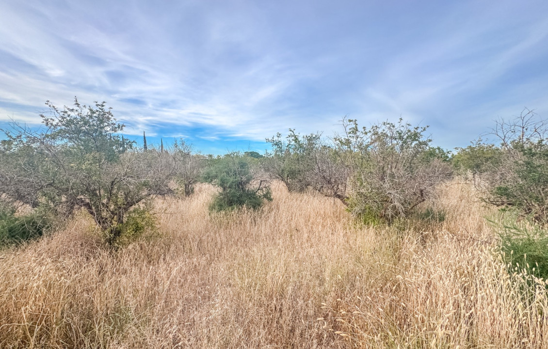For Sale - Plot - Elche - Matola