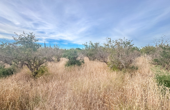 For Sale - Plot - Elche - Matola