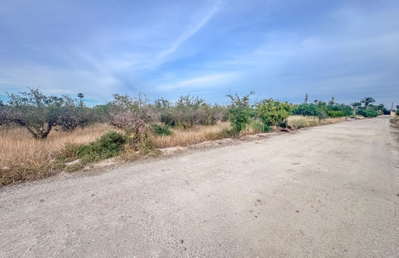 Venta - Parcela - Matola - Algoda-Matola-Llano de San José