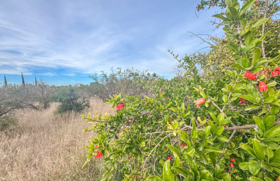 Venta - Parcela - Matola - Algoda-Matola-Llano de San José