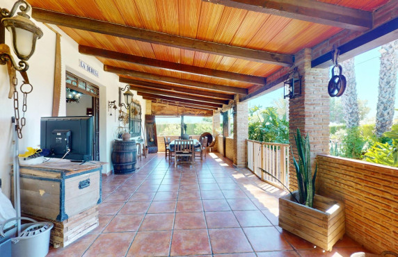 For Sale -  - Elche pedanias - baya baja