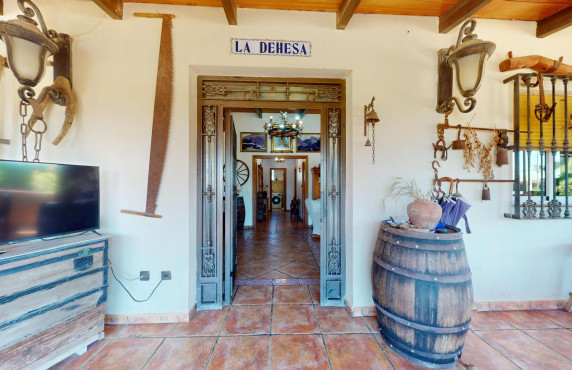 For Sale -  - Elche pedanias - baya baja