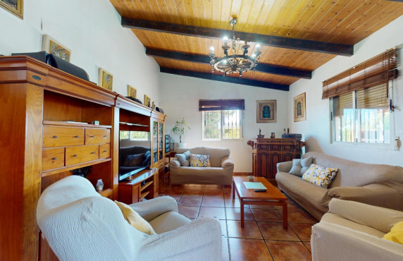 For Sale -  - Elche pedanias - baya baja