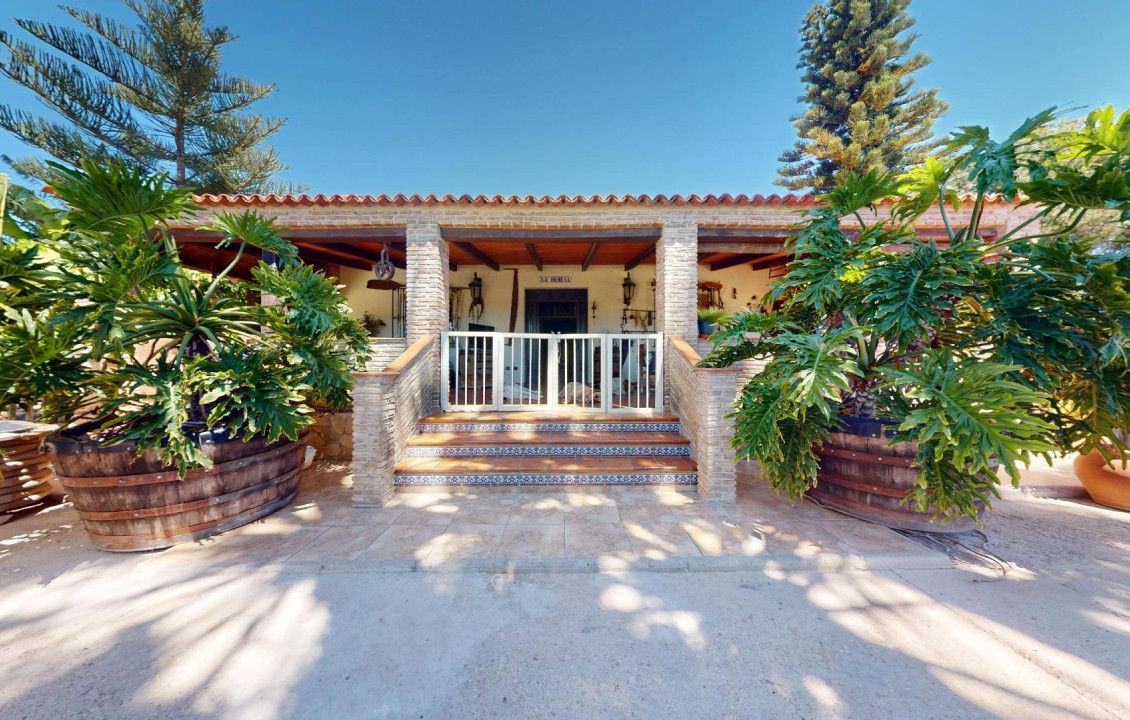 For Sale -  - Elche pedanias - baya baja