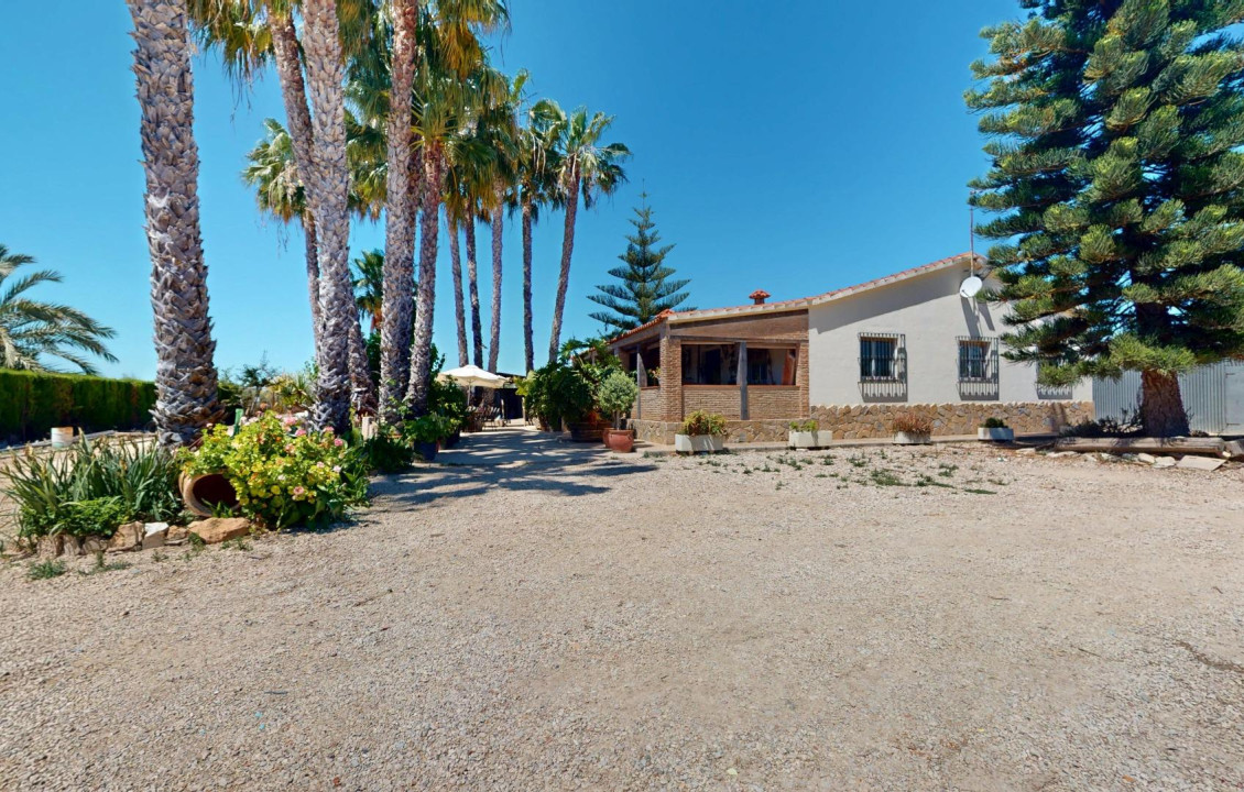 For Sale -  - Elche pedanias - baya baja