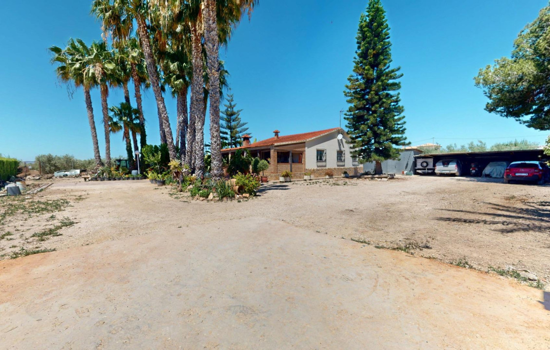 For Sale -  - Elche pedanias - baya baja