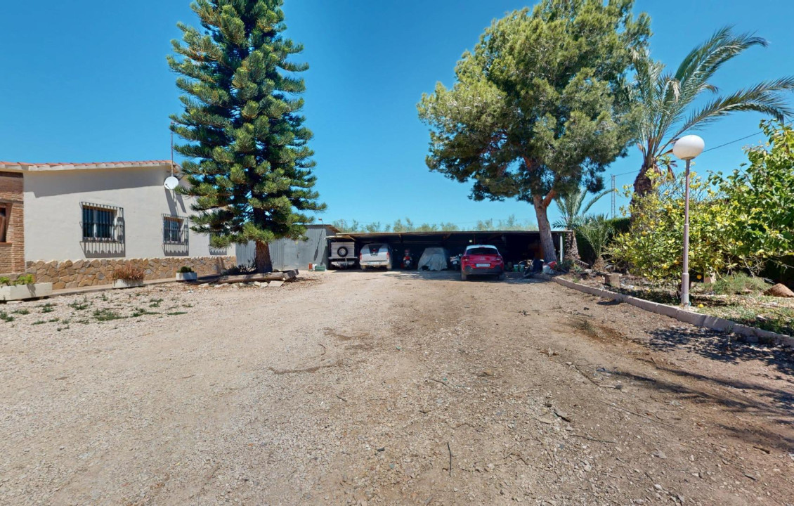 For Sale -  - Elche pedanias - baya baja