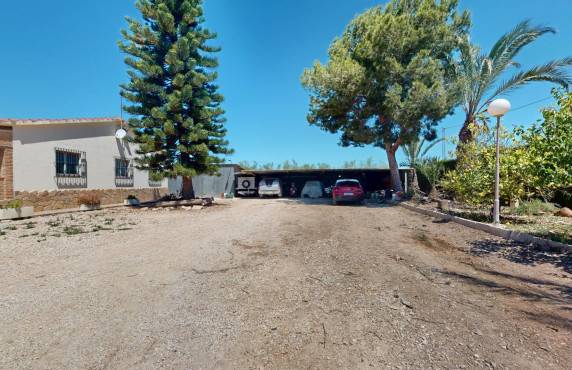 For Sale -  - Elche pedanias - baya baja
