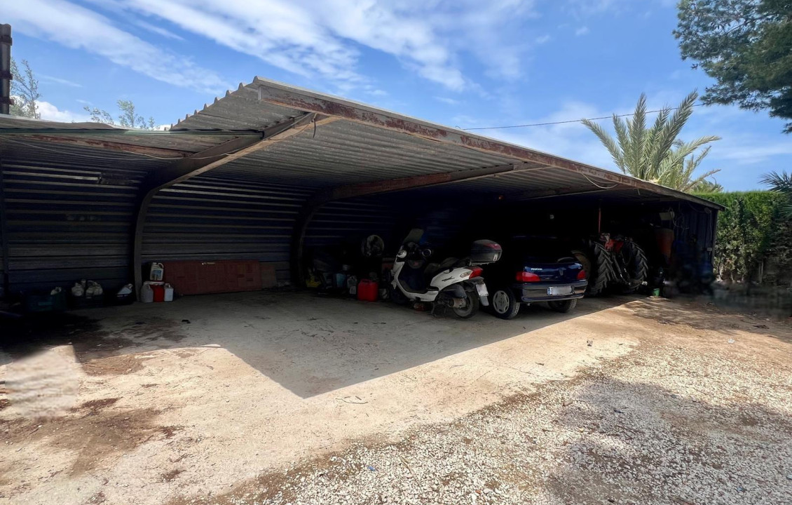 For Sale -  - Elche pedanias - baya baja