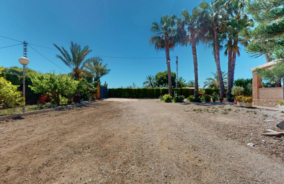 For Sale -  - Elche pedanias - baya baja