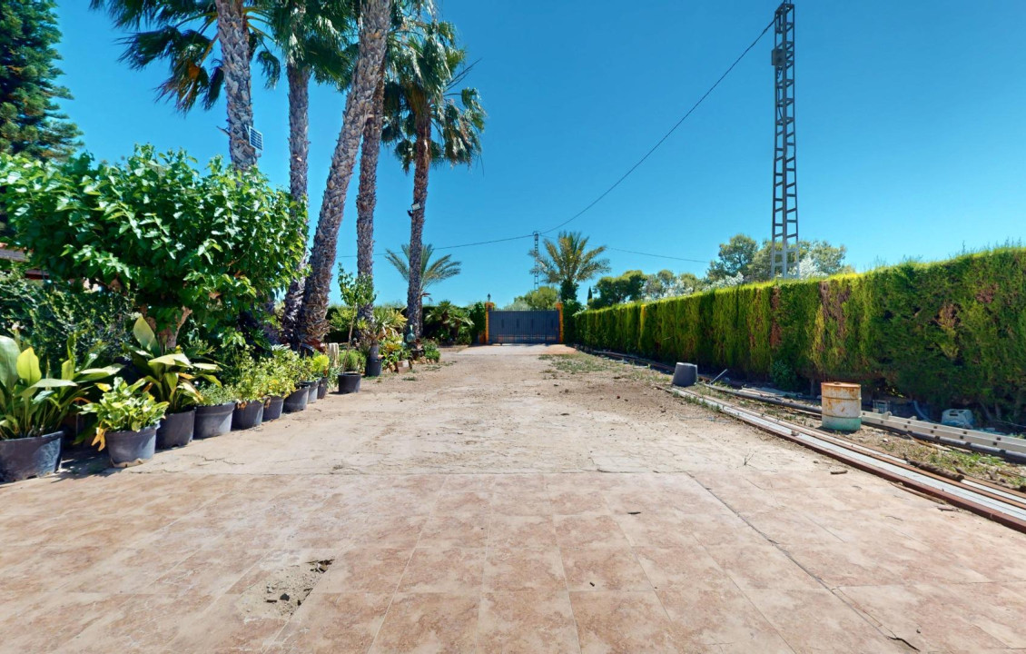 For Sale -  - Elche pedanias - baya baja