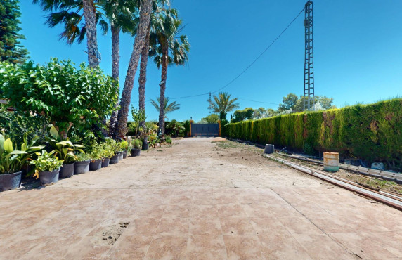 For Sale -  - Elche pedanias - baya baja