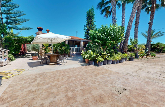 For Sale -  - Elche pedanias - baya baja