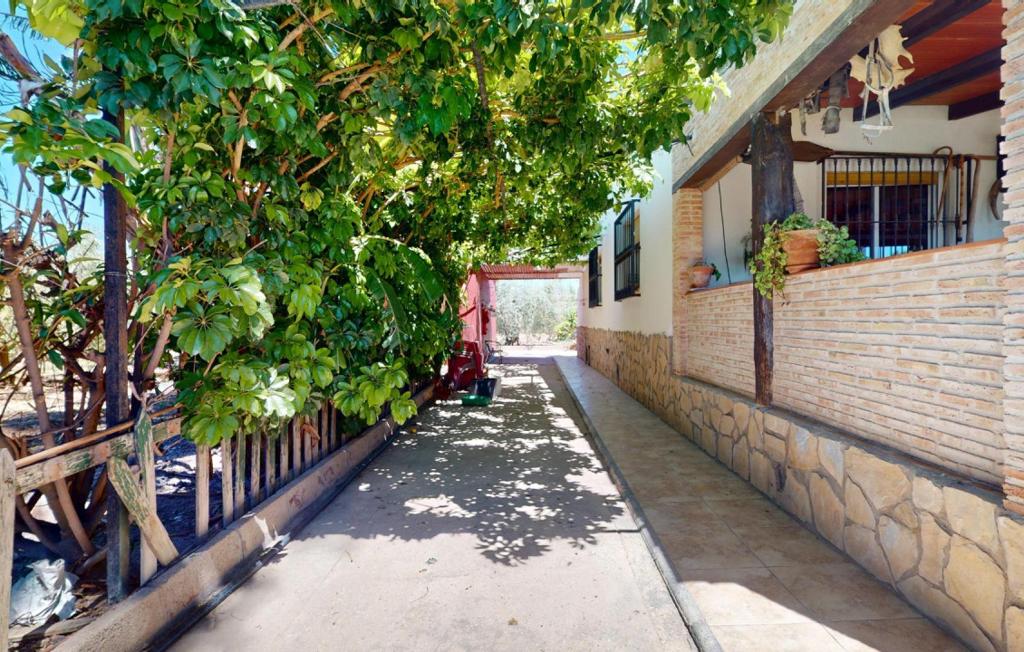 For Sale -  - Elche pedanias - baya baja