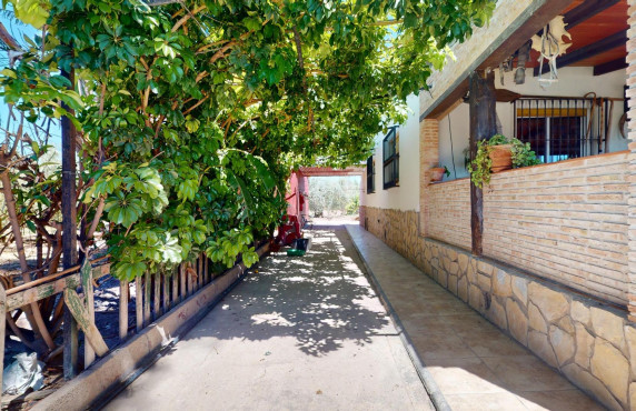 For Sale -  - Elche pedanias - baya baja