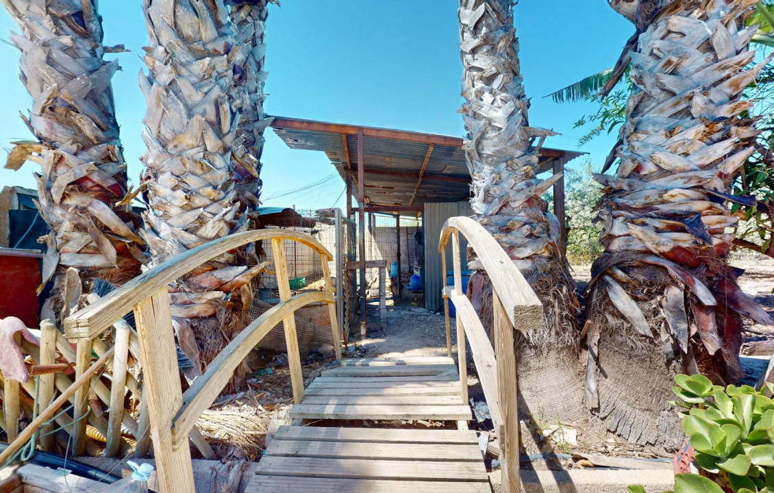 For Sale -  - Elche pedanias - baya baja