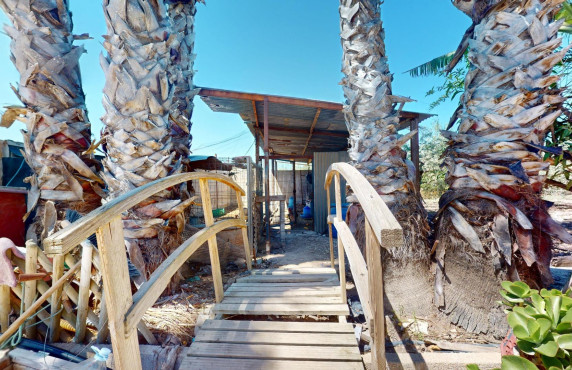 For Sale -  - Elche pedanias - baya baja
