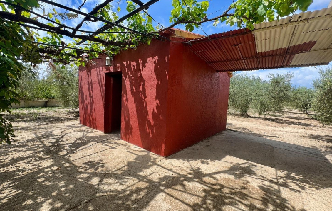 For Sale -  - Elche pedanias - baya baja