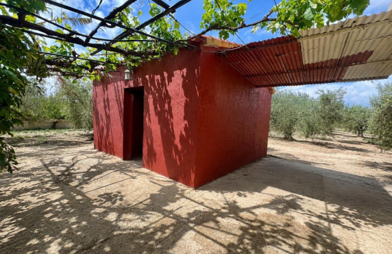 For Sale -  - Elche pedanias - baya baja