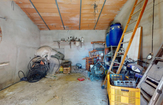 For Sale -  - Elche pedanias - baya baja