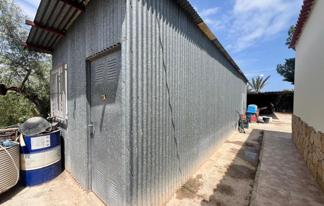 For Sale -  - Elche pedanias - baya baja