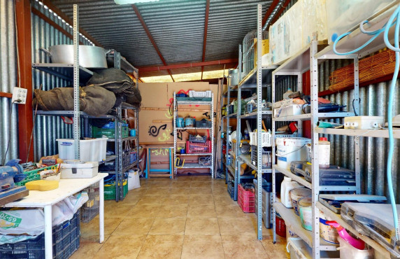 For Sale -  - Elche pedanias - baya baja