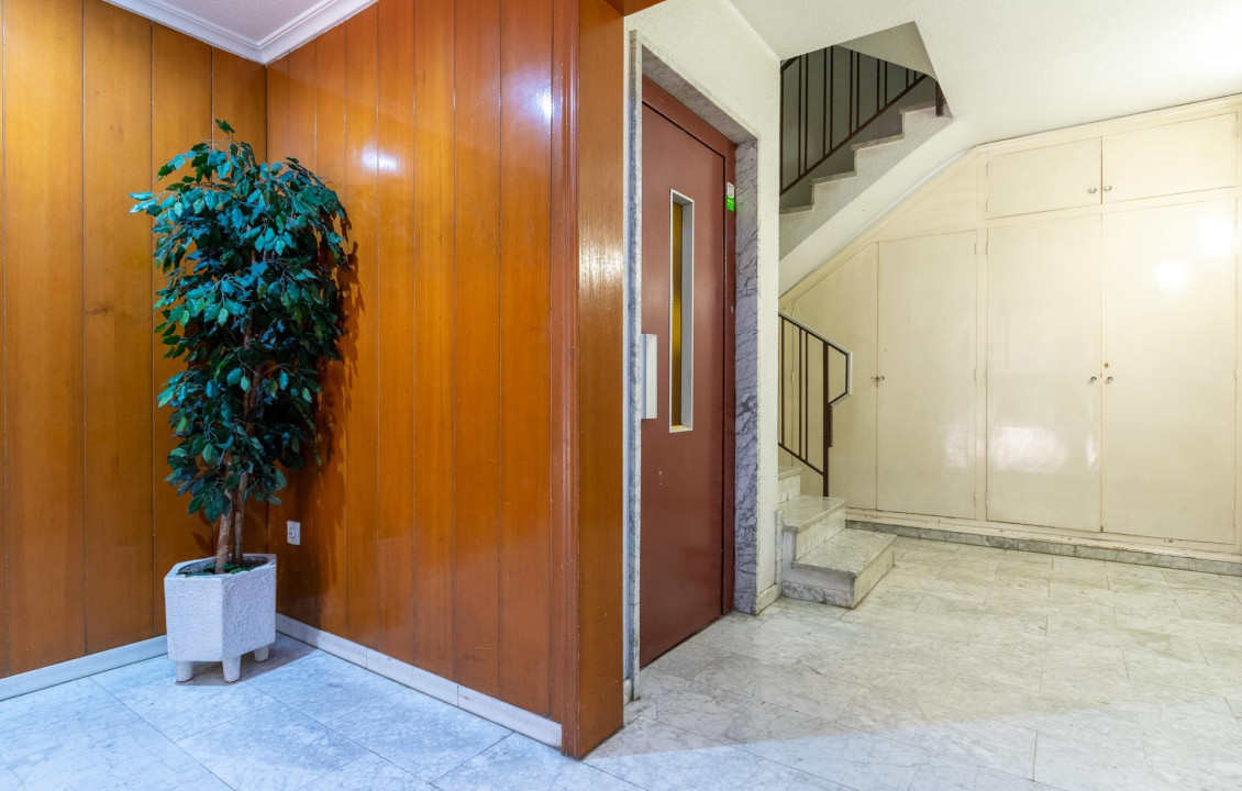 Venta - Piso - Elche - Centro