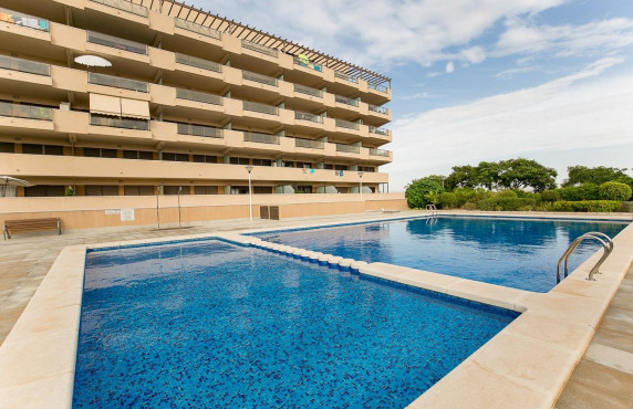 Venta - Apartamento - Arenales del sol - Calle valladolid