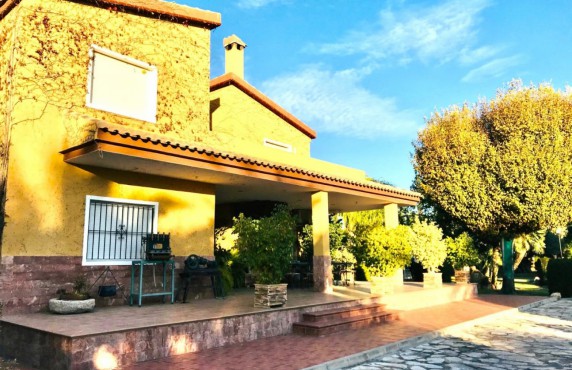 For Sale - Casas o chalets - Elche pedanias - Camino ALBORROCAT