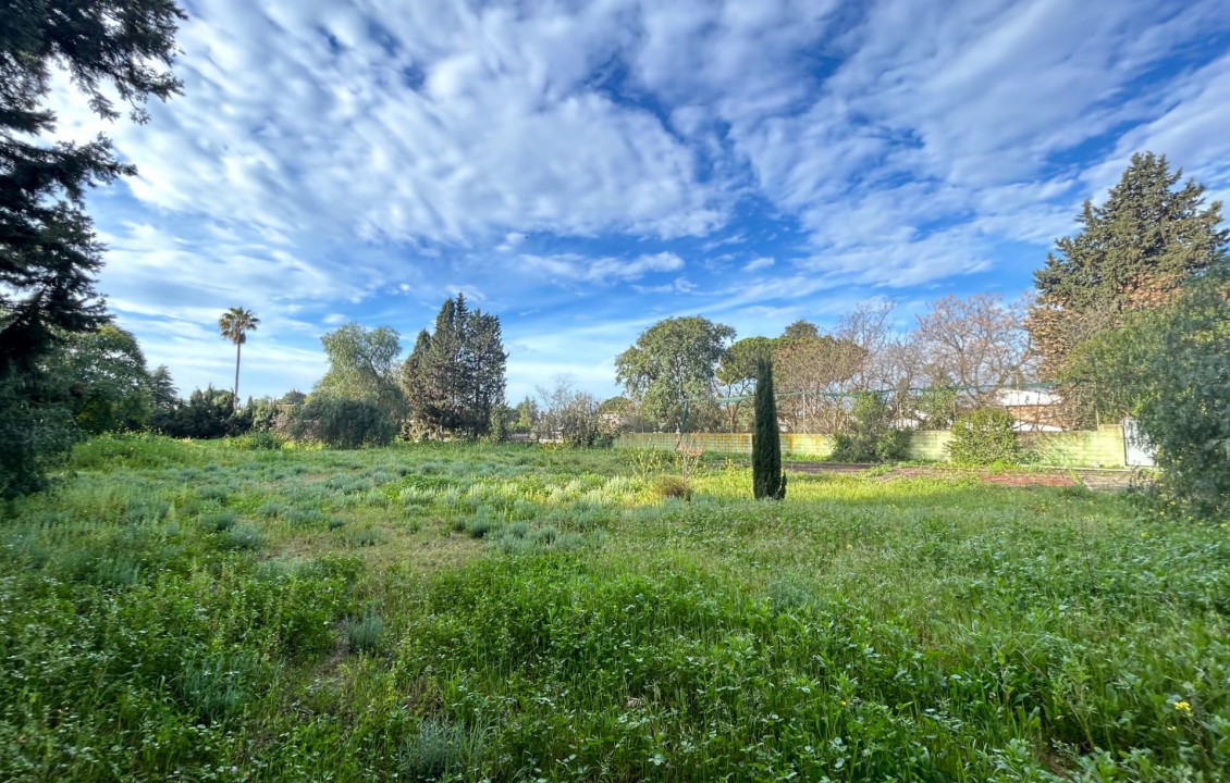 Venta - Fincas y solares - Mairena del Aljarafe - VALLE BLANCO