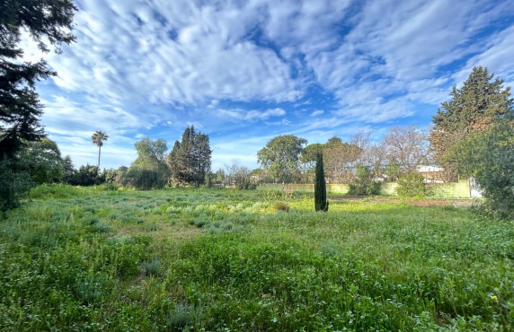 Venta - Fincas y solares - Mairena del Aljarafe - VALLE BLANCO