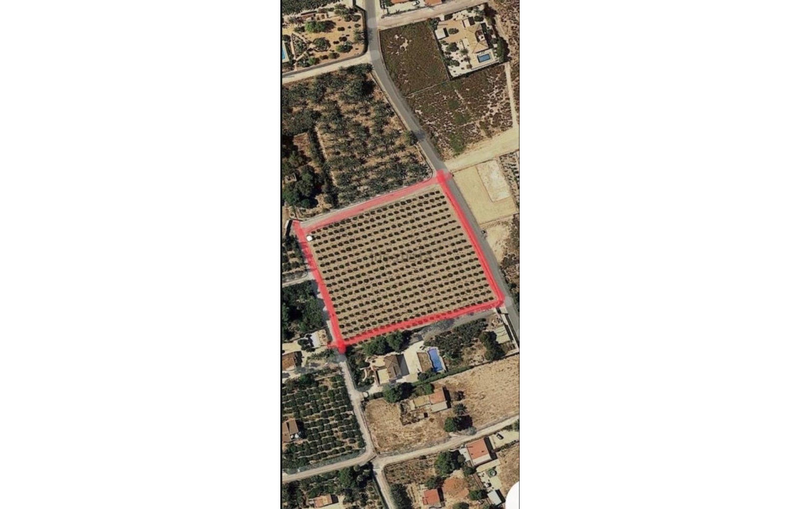 For Sale - Fincas y solares - Elche - PARTIDA DAIMES