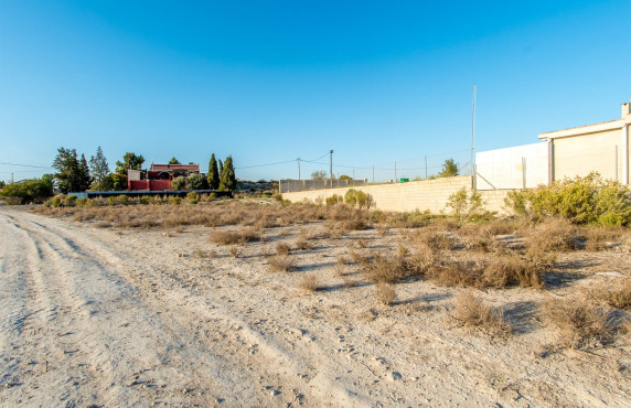 Venta - Fincas y solares - Molina de Segura - calle de los peneques