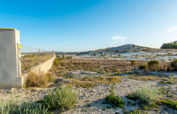 Venta - Fincas y solares - Molina de Segura - calle de los peneques