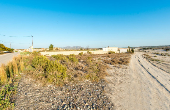 Venta - Fincas y solares - Molina de Segura - calle de los peneques