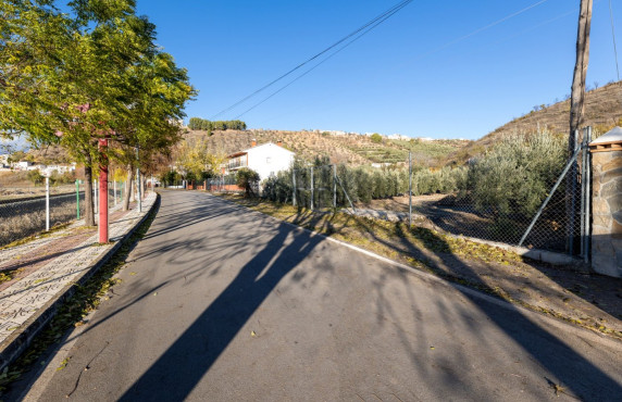 Venta - Fincas y solares - Iznalloz - Granada