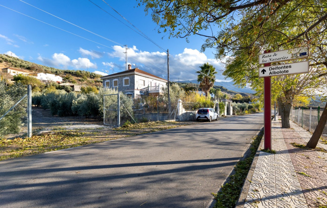 Venta - Fincas y solares - Iznalloz - Granada