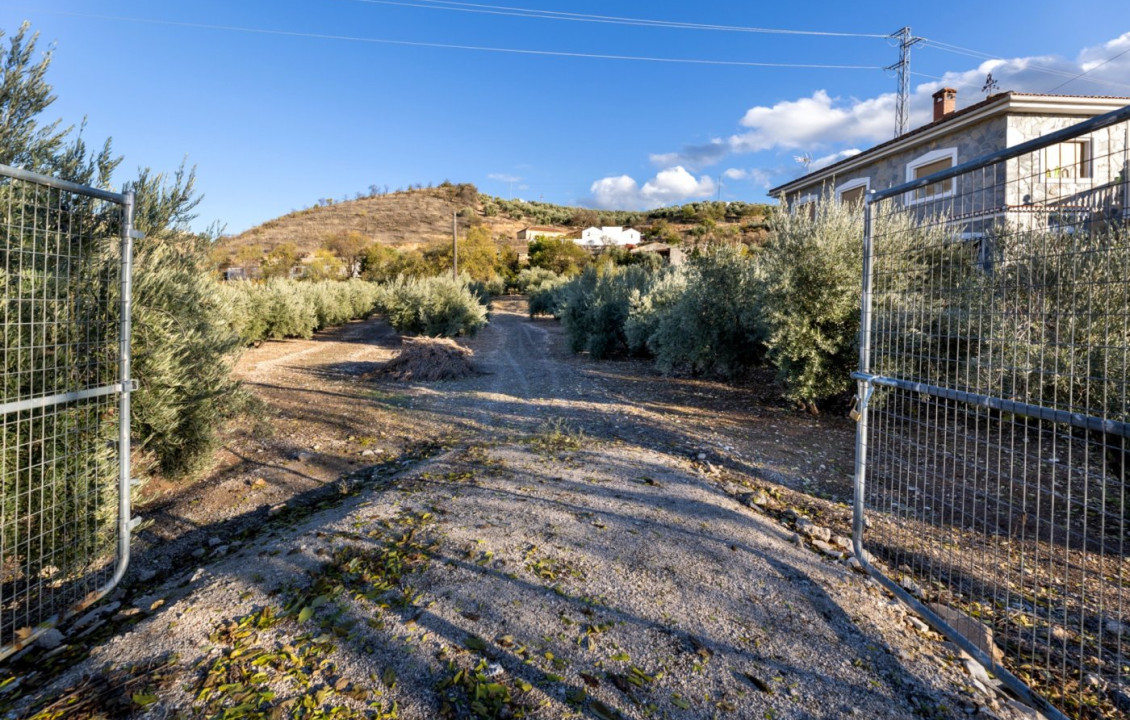 Venta - Fincas y solares - Iznalloz - Granada