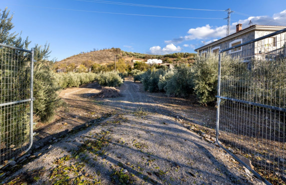 Venta - Fincas y solares - Iznalloz - Granada