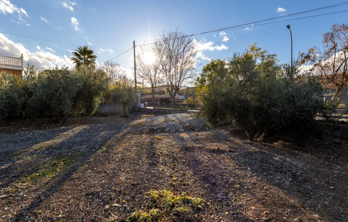 Venta - Fincas y solares - Iznalloz - Granada