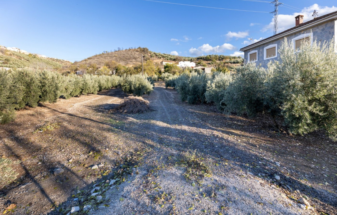 Venta - Fincas y solares - Iznalloz - Granada