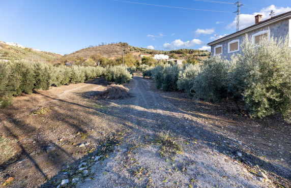 Venta - Fincas y solares - Iznalloz - Granada