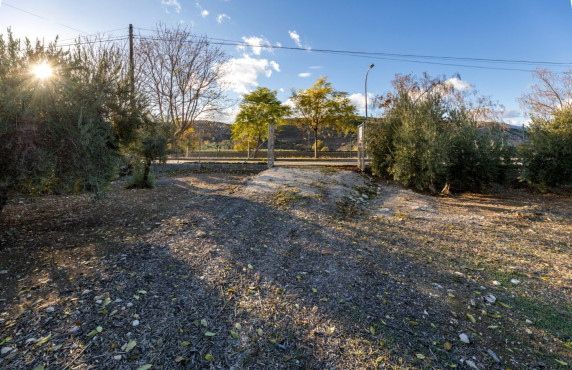 Venta - Fincas y solares - Iznalloz - Granada