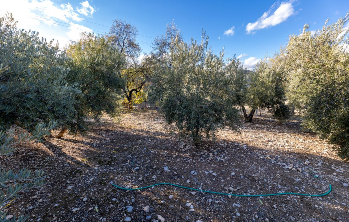 Venta - Fincas y solares - Iznalloz - Granada