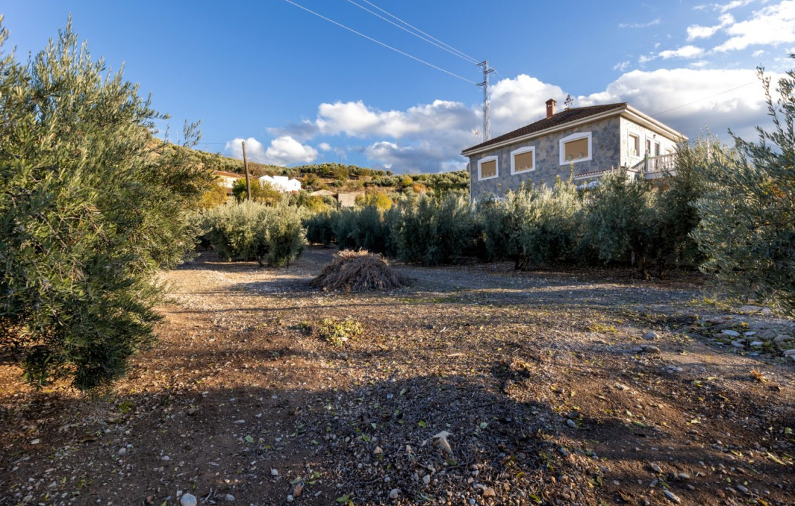 Venta - Fincas y solares - Iznalloz - Granada