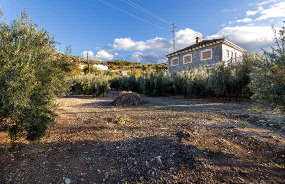 Venta - Fincas y solares - Iznalloz - Granada