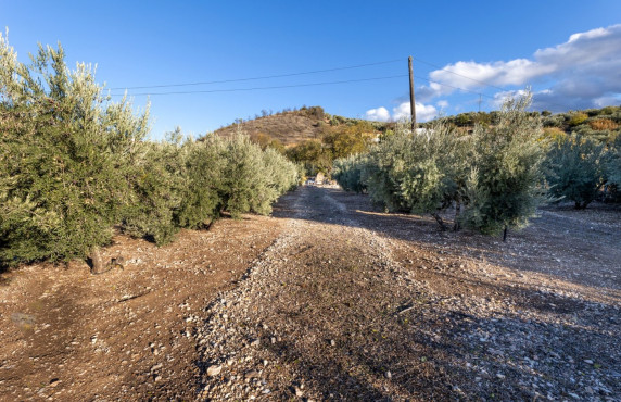 Venta - Fincas y solares - Iznalloz - Granada