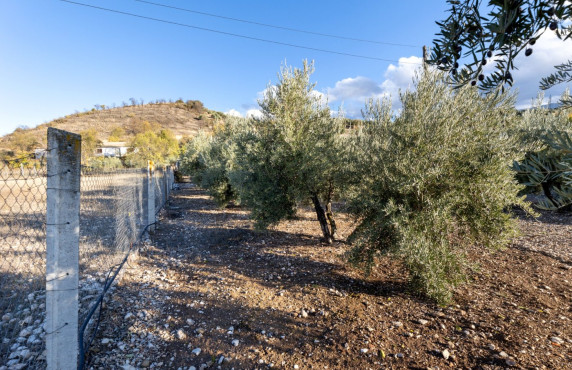 Venta - Fincas y solares - Iznalloz - Granada