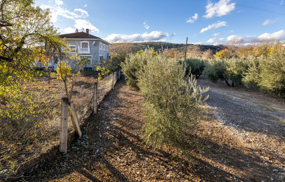 Venta - Fincas y solares - Iznalloz - Granada